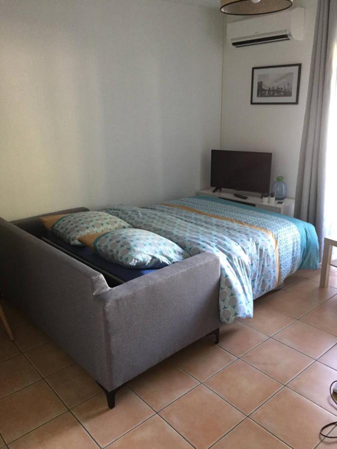Appartement Residence Prive Avec Parking Wifi Clim Piscine Avignon Bagian luar foto