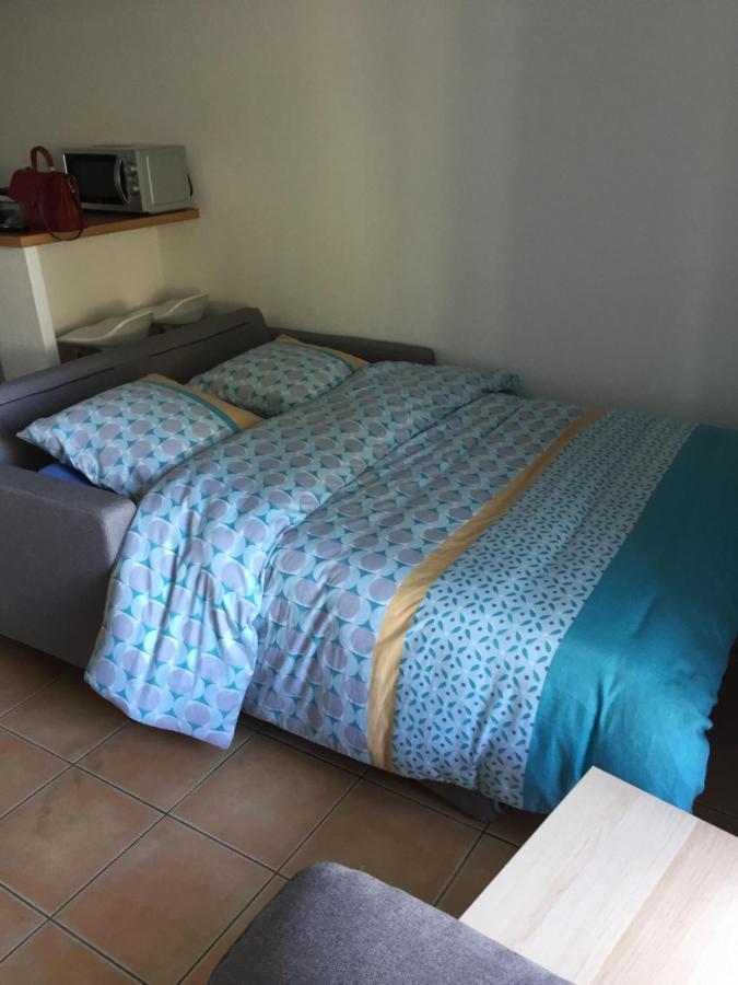 Appartement Residence Prive Avec Parking Wifi Clim Piscine Avignon Bagian luar foto